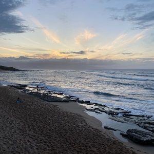 Meet your Posher, Sophia